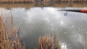 клёв карася на новочеркасской ГРЭС 8.04.21