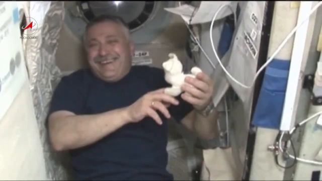 Дмитрию Медведеву показали новейшие космические разработки