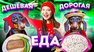 ДОРОГАЯ VS ДЕШЕВАЯ ЕДА II ЧТО ПОНРАВИТСЯ БОЛЬШЕ?