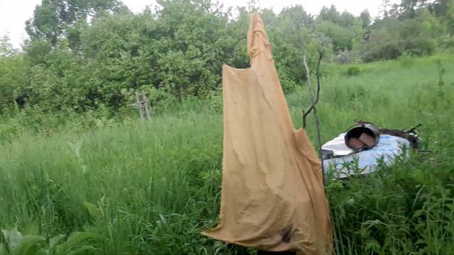 тёплый цвет смотреть онлайн