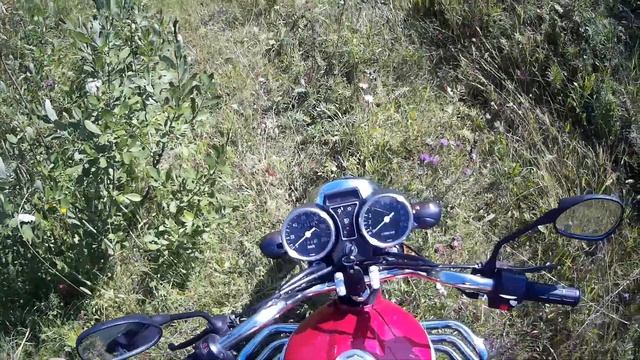 По таежным дебрям на Alpha RX 11 | Покатушки выходного дня смотреть онлайн