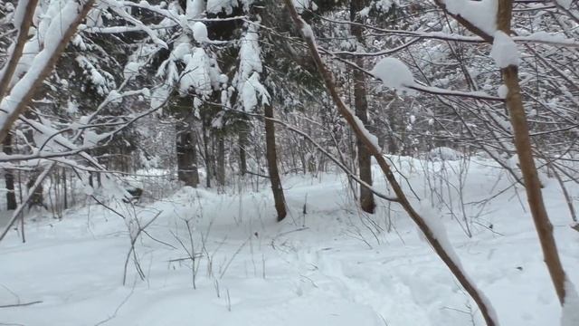 (18+) В поисках средневековья и домонгола с Golden Mask 5+