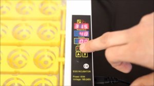 Инкубатор HHD 24  Обзор