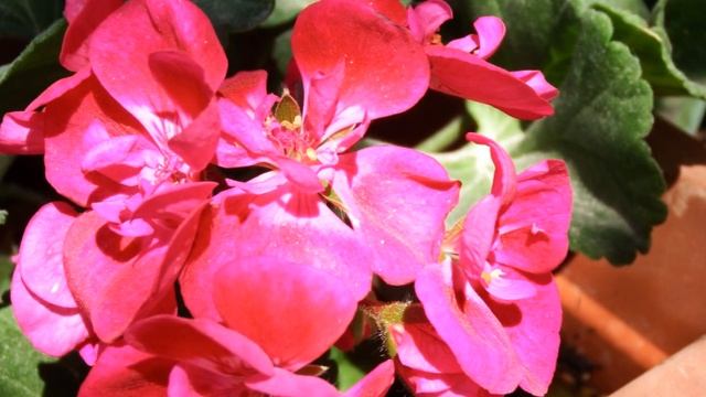 FUJIFILM FINEPIX S1 REVIEW смотреть онлайн