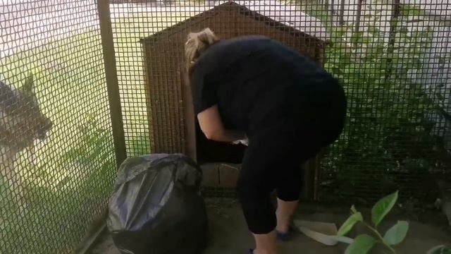 Влог: Купили Дом на Юге/Папа о ней мечтал/ Все бросила и пошла гулять / Наши будни на Юге смотреть онлайн