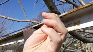 НАТЯЖКА БЕЛЬЕВОЙ ВЕРЕВКИ. ЛУЧШИЙ СПОСОБ