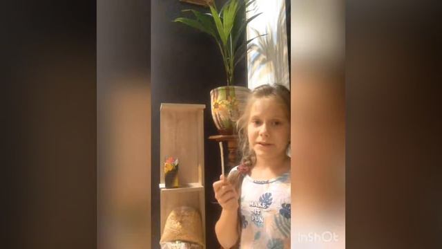 ~Мой хомяк ДЖЕССИ~ЧТО нужно ДЛЯ УХОДА за ДЖУНГАРИКОМ|{Первое видео} смотреть онлайн