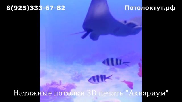 Натяжные потолки 3D печать, цветные рисунки с подсветкой. Аквариум смотреть онлайн