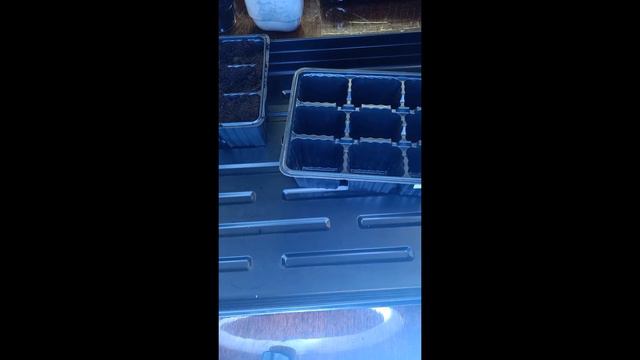 Стрим. смотреть онлайн