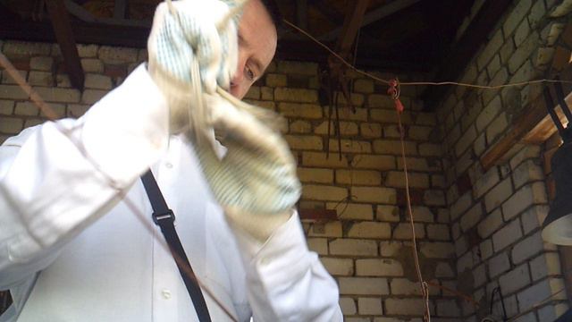 Трезвон по завершении Божественной литургии 28 июля 2024