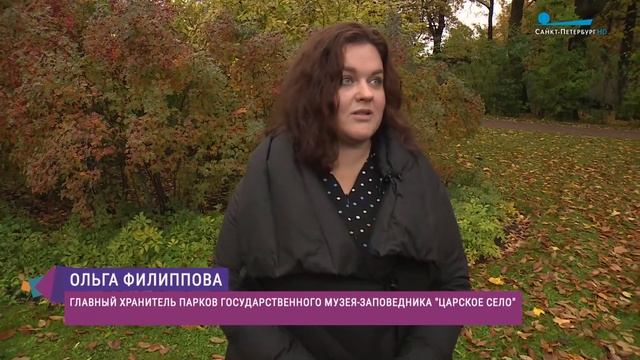 Парки Царского Села готовят к зиме смотреть онлайн