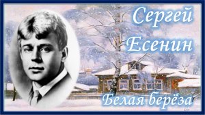 Сергей Есенин. Белая береза