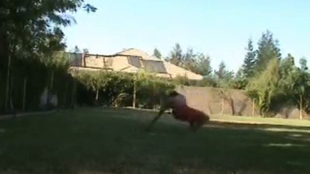 Tricking Firsts + August 04, 2006 + Modesto, CA смотреть онлайн