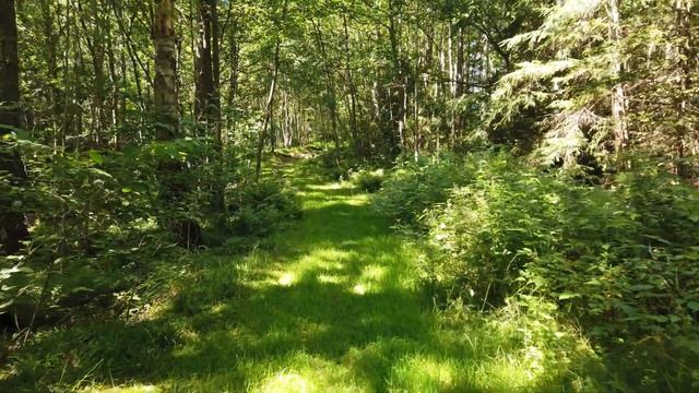 Should you create git branches for epics? смотреть онлайн