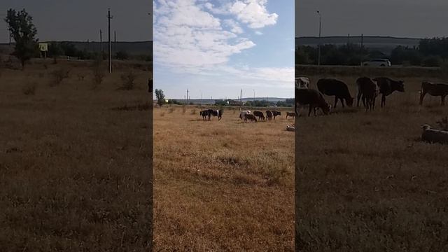 7 июля 2024 г..mp4 смотреть онлайн