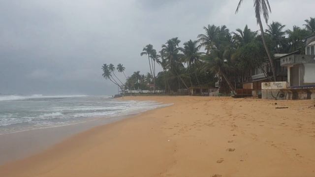 Citrus Hikkaduwa пляжный отель в Хиккадуве #шриланка