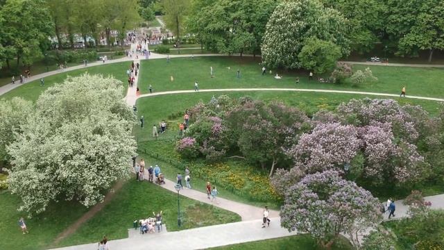 Сиреневый сад / Lilac Gargen смотреть онлайн