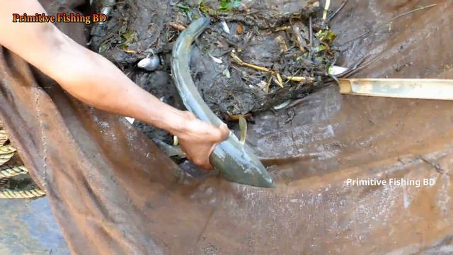Fishing In River। Amazing Fish Catching by Net смотреть онлайн
