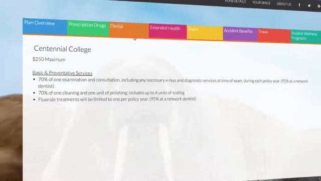 We Speak Student Tutorial Video смотреть онлайн