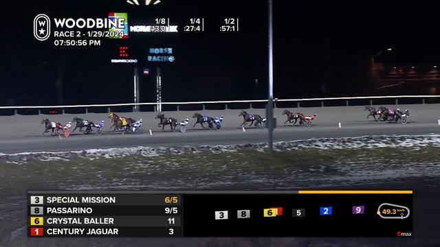 Mohawk, Sbred, January 29, 2024 Race 2 смотреть онлайн