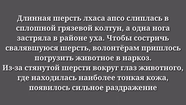 Люди спасли его , даже не понимая кто это смотреть онлайн
