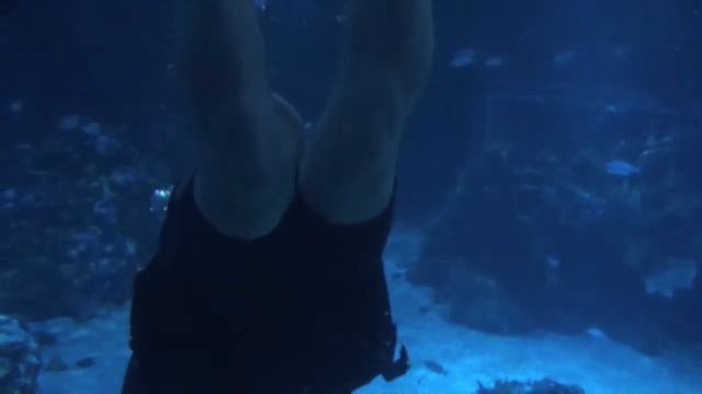 Disneyworld Epcot Dive Quest