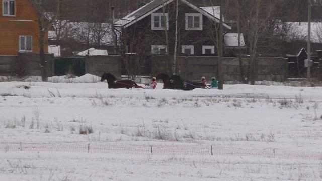 4 Раменский ипподром 26.12.2020 - Лошади рожд. 2017 г. орловской породы смотреть онлайн