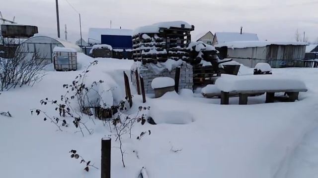 Жизнь прекрасна/мы на даче/чужая собака/кухонные отходы смотреть онлайн