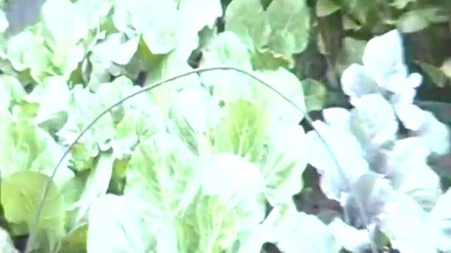 Новая кухня на даче. смотреть онлайн