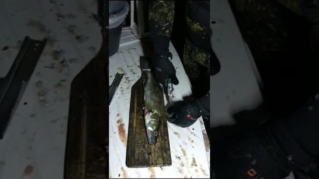 Скребок для чистки рыбы смотреть онлайн