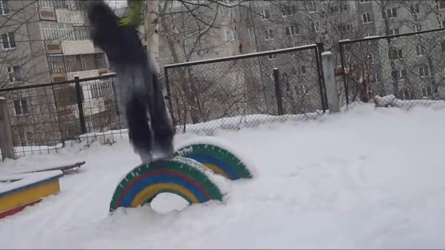 злат смотреть онлайн