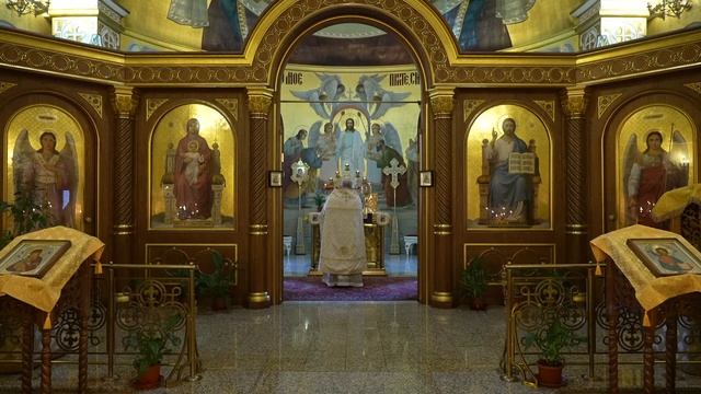 Прямая трансляция: Божественная литургия. Воскресенье. 12 ноября 2023. смотреть онлайн
