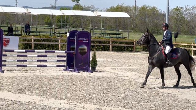 DiCaprio- Breeding Stallion by Diamant de Semilly and Cornet Obolensky смотреть онлайн