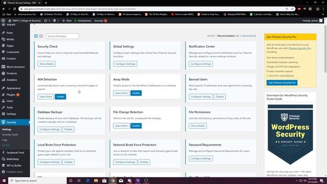 Plugin Review #3 iTheme Security смотреть онлайн