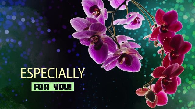 ✅Orchids for you/Орхидеи для тебя!✅ смотреть онлайн