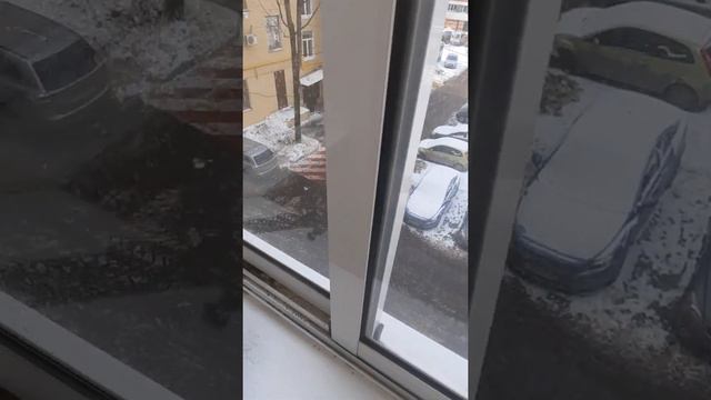 Состояние территории 7-я Текстильщиков д. 16 смотреть онлайн