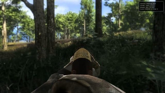 The Hunter | 12 GA "Royal Edition" Pump Action Shotgun from football jamboree event смотреть онлайн