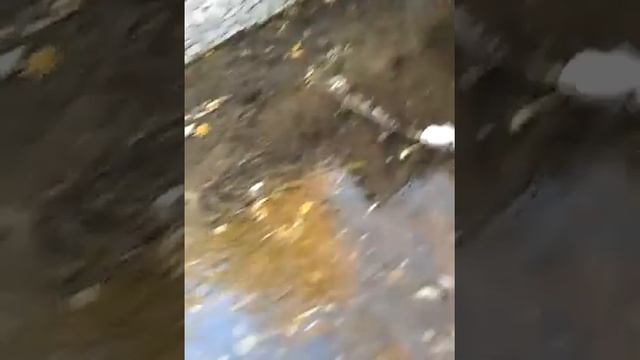 Путешествие по Климовску смотреть онлайн