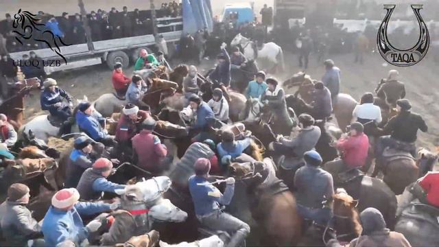 JONIQUL POLVON ISKANDAR RAISBUVANING MASHXUR XON NOMLI OTIDA TUYA + TOY+ 5.000.000 SUMGA MARRA QILD смотреть онлайн