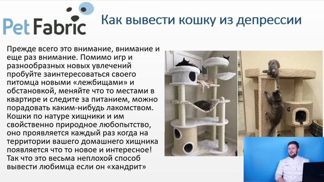 Зоопсихология кошек смотреть онлайн