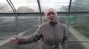 Отзыв клиента о теплице - Прямостенная (двойная дуга)