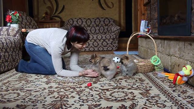 Атаман, Агат и Арина Из Усадьбы Андреевых смотреть онлайн