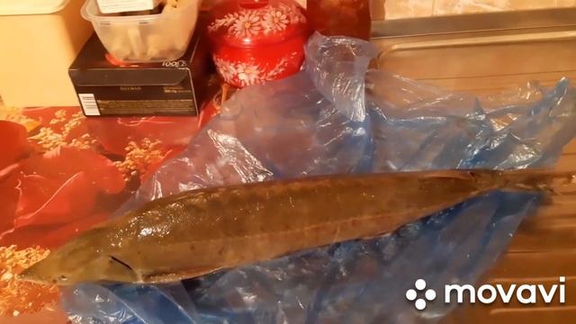 САМЫЙ ЛУЧШИЙ СПОСОБ ПОСОЛА СТЕРЛЯДКИ смотреть онлайн