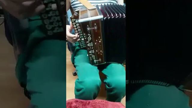 Гармонь Фадеева.соль# А.Чечёткин - Сормач смотреть онлайн