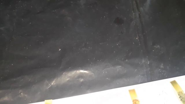 Какой Рн субстрата лучше? смотреть онлайн