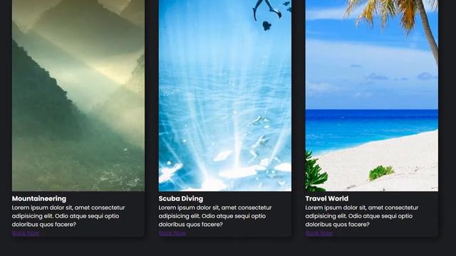 Responsive CSS Cards with Hover Overlay Animation смотреть онлайн