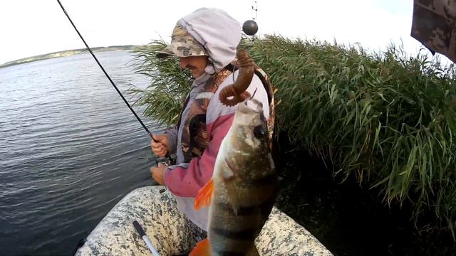 Рыбалка на ДЖИГ/Lucky John/Резина/Рыбалка/ловля рыбы смотреть онлайн