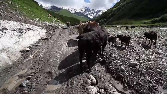 Путешествие по Грузии на машине. Полный путеводитель по Грузии. По Грузии на автомобиле. смотреть онлайн