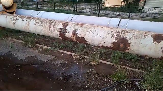 Вода которую пьёт корова, становится молоком. Вода, которую пьёт змея — становится ядом. смотреть онлайн
