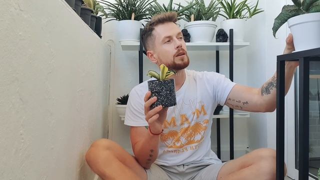 Ошибки при создании "идеальной цветочной коллекции".Разговор под шум города. смотреть онлайн